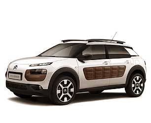 C4 cactus sur fond blanc